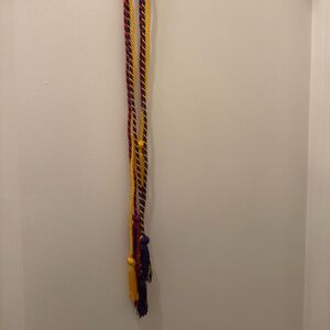 Multicolor Graduation Cords | university honor tassels cords